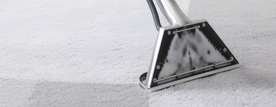 Pro Carpet Cleaners Benefit Allergy Sufferers