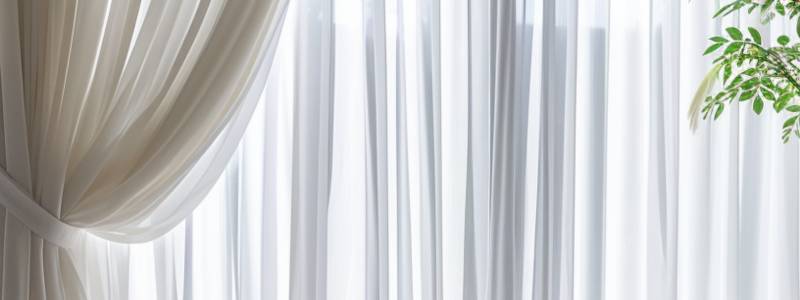 Curtains and Blinds Cleaning in Perth